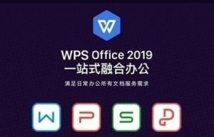 WPS office 2019专业增强版缩略图