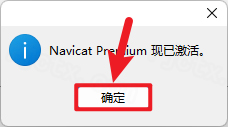 Navicat Premium 16插图20