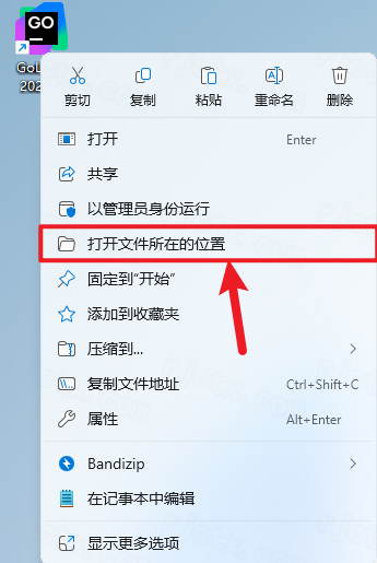 Jetbrains GoLand 2025.1插图12