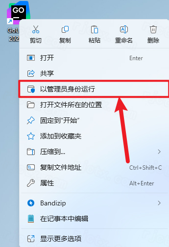 Jetbrains GoLand 2025.1插图16