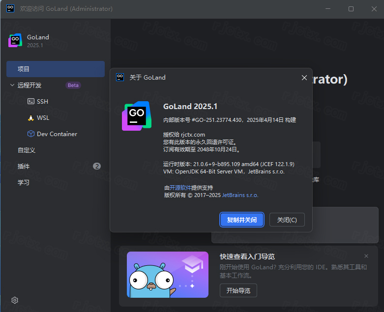 Jetbrains GoLand 2025.1插图20